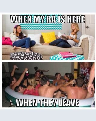 FuckRAs's profile picture. True words of GCC RAs....