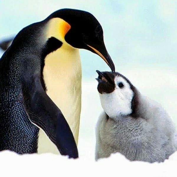 tabithatimberm1's profile picture. 