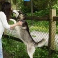 Samantha G (@sgolestani14) 's Twitter Profile