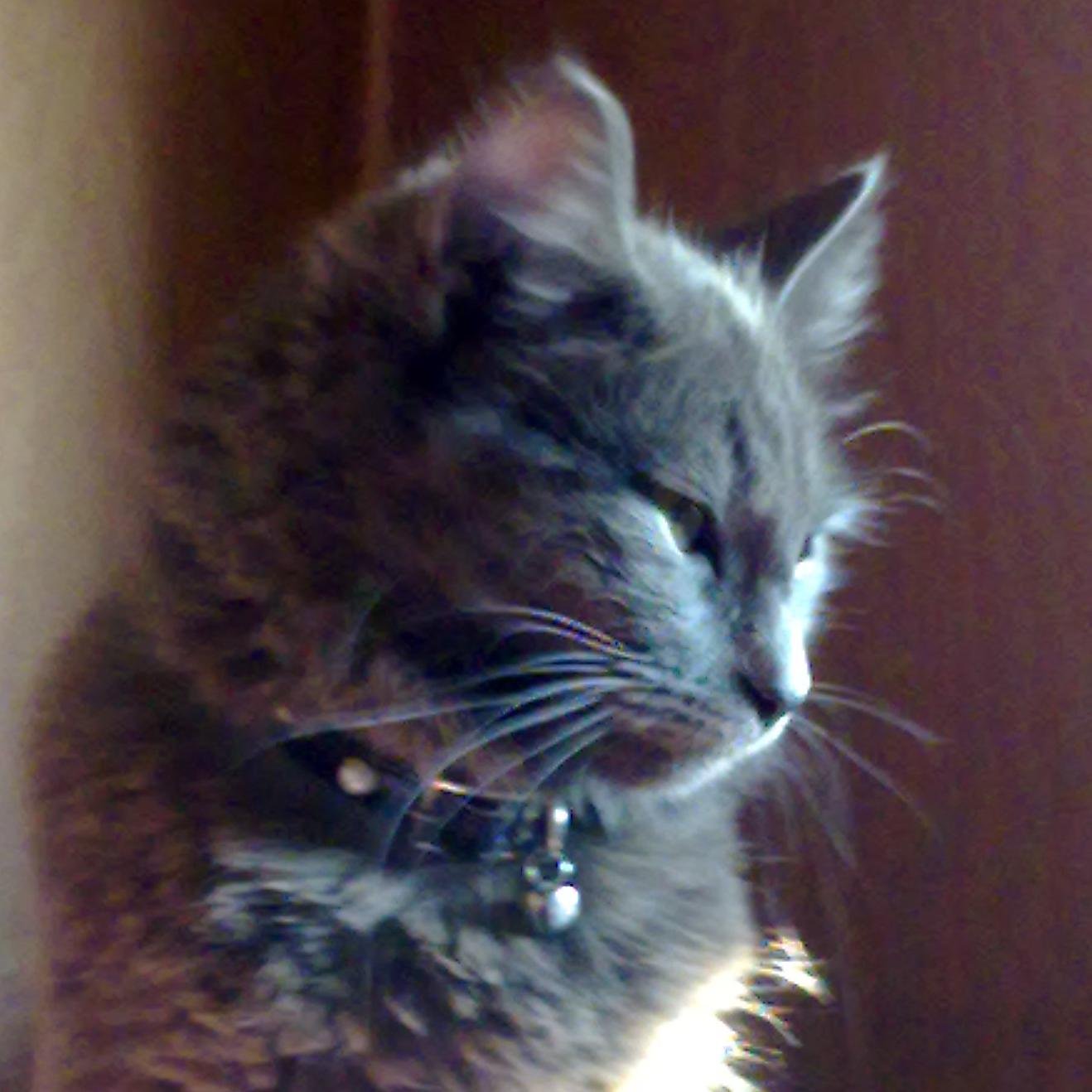 reglyce111's profile picture. 