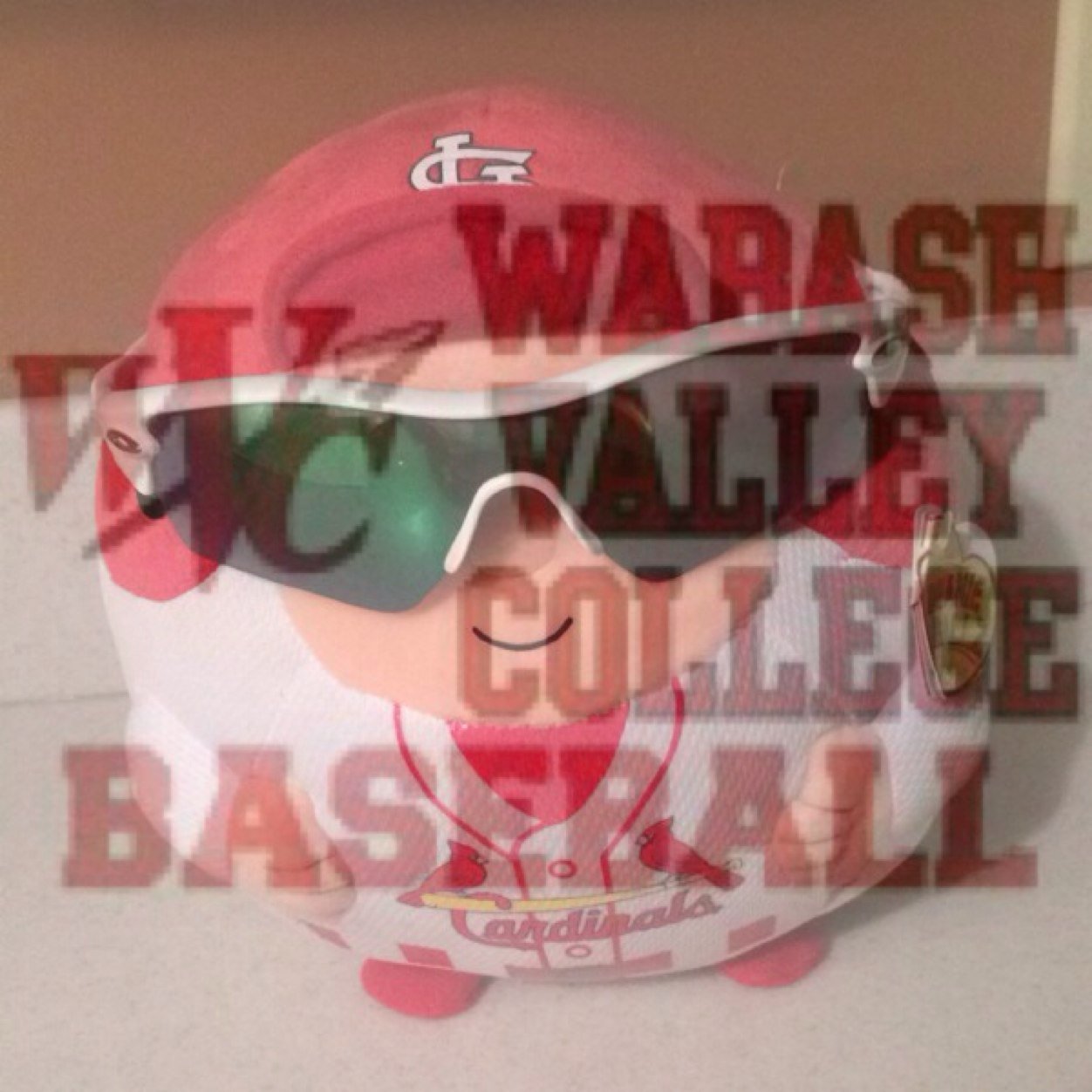 TomahawkinTimmy's profile picture. Official page for Tomahawkin Timmy. I am the ultimate rally pal ⚾️ ***Phil 4:13*** ⚾️⚾️Wabash Valley Commit⚾️⚾️