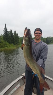 bmen210's profile picture. 