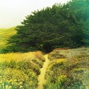 Walt Henry - @waltzinghenry - Twitter