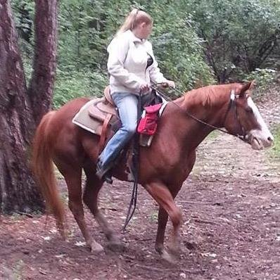 grumpy_kitten70's profile picture. Wild horse activist.  Helping to save our wild horses and expose the people who continue to control their removal.  All animal lives matter.  We are their voice