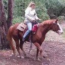 Shelly Briggs - @grumpy_kitten70 - Twitter