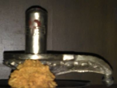 d52b89fdad0548a's profile picture. 