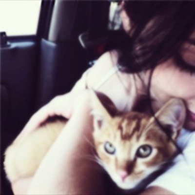 BelleODonnellWH's profile picture. 