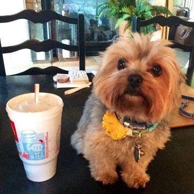 NfeuquayNikki's profile picture. 