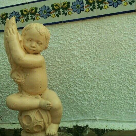 eduardohemodia1's profile picture. 28/8/1960