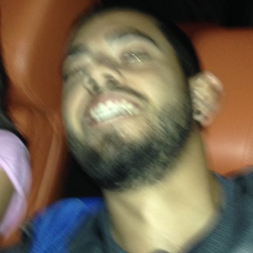 sdotbologna's profile picture. 