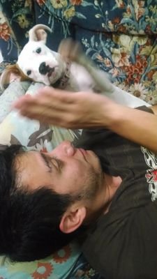 scrapi5's profile picture. 