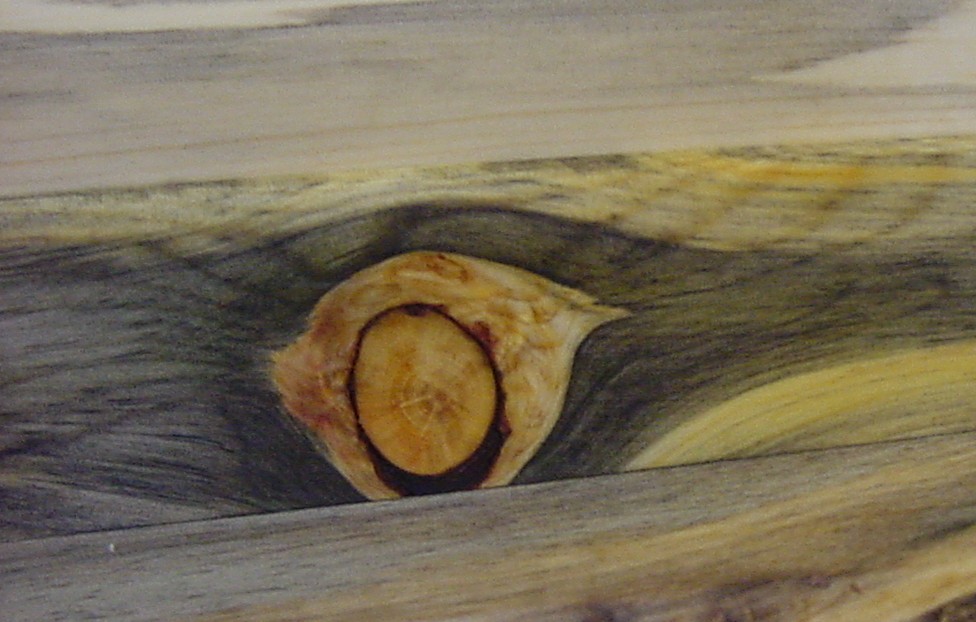 Designer, builder and marketer of handmade, heirloom quality, ecologically responsible furniture. Specializing in Beetle Kill Pine furniture. I ship anywhere!