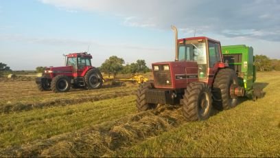 6th Generation Family Farm-We raise cattle, corn, hogs and soybeans.