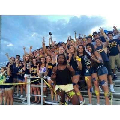 WE DEM TIGERS