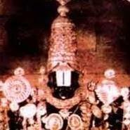 agentskmutt's profile picture. 