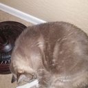 Hunter Workman - @hunter120205 - Twitter