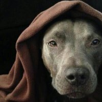 Jason (@j_merf) Twitter profile photo