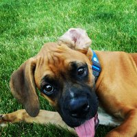 Jacob Ubienski (@jacobubienski) 's Twitter Profile