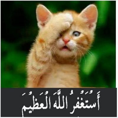 assalamulaikum
Diri ini sentiasa untuk menjadi hamba ALLAH. yang baik itu dari Allah. yg salah dan silap itu hanya dari hamba NYA yg kerdil. :)(: