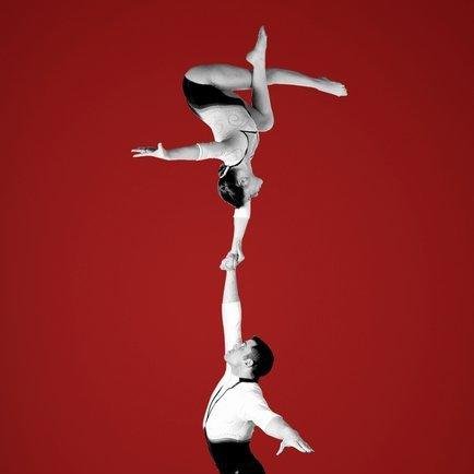 We are a gymnastics school in Livermore, teaching gymnastics tumbling, trampoline, and acrobatics. We are also proud to provide adult gymnastics classes!