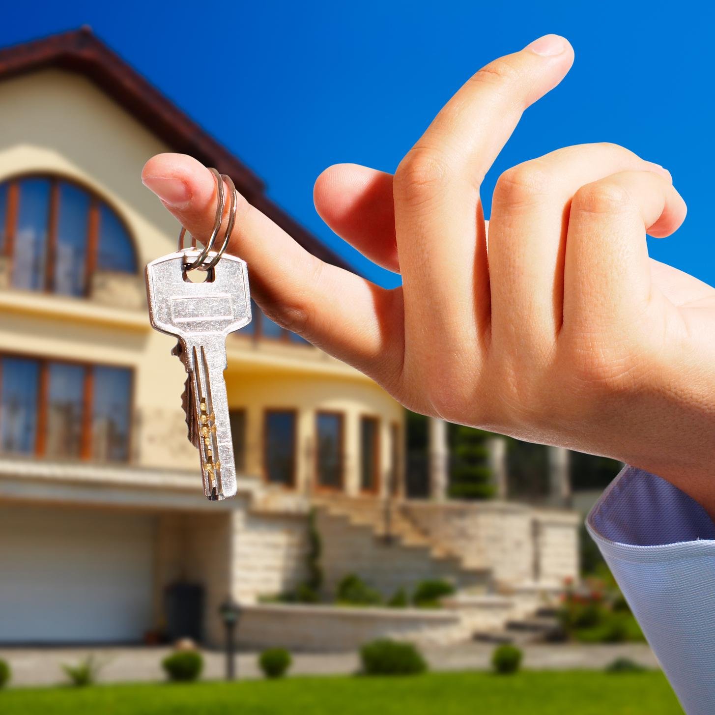Developer Real Estate General Contractor General Trading Material