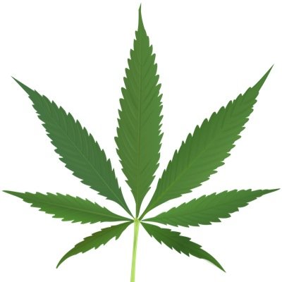 Everything weed related