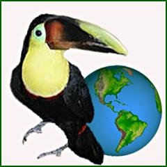 Dr Jungle is out exploring the earth and examining all sorts of exotic and domestic animals.