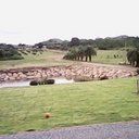mouengloe 1985 (@590c4d634854426) Twitter