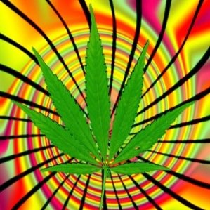 Send in your stoned stories!