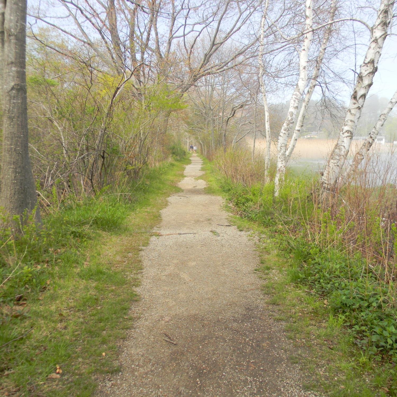 A student-run blog dedicated to all things environmental in the windy city of Chicago. #gogreen