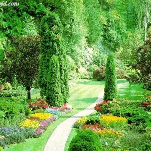 وقفه ...... ربما اتجاهل بعض الامور في حياتي ليس لضعفي ولكن لانها تخص احبابي فلا اقوى على خسارة احد .