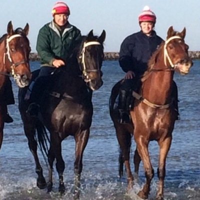 AgrestaJoe's profile picture. 