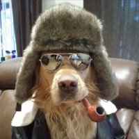 SacKat (@sachibub10) 's Twitter Profile