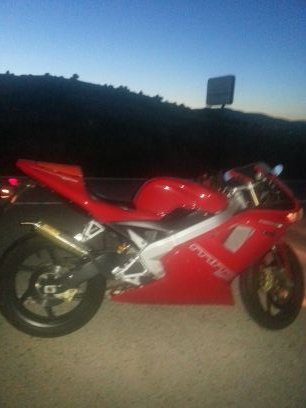 danisp525's profile picture. 