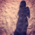 diana bocanegra (@boki_di) Twitter profile photo diana bocanegra (@boki_di) Twitter profile photo