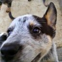 Emma Randall - @ACD_5150 - Twitter