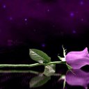 sultan bin mohammed (@1399sultan) Twitter