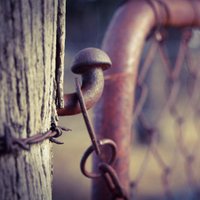 FarmGate Advisory (@farmgatewa) 's Twitter Profile Photo