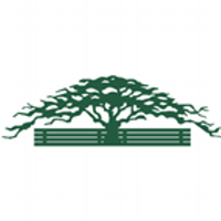 Treework (@treeworkuk) 's Twitter Profile