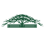 TreeworkUK's profile image