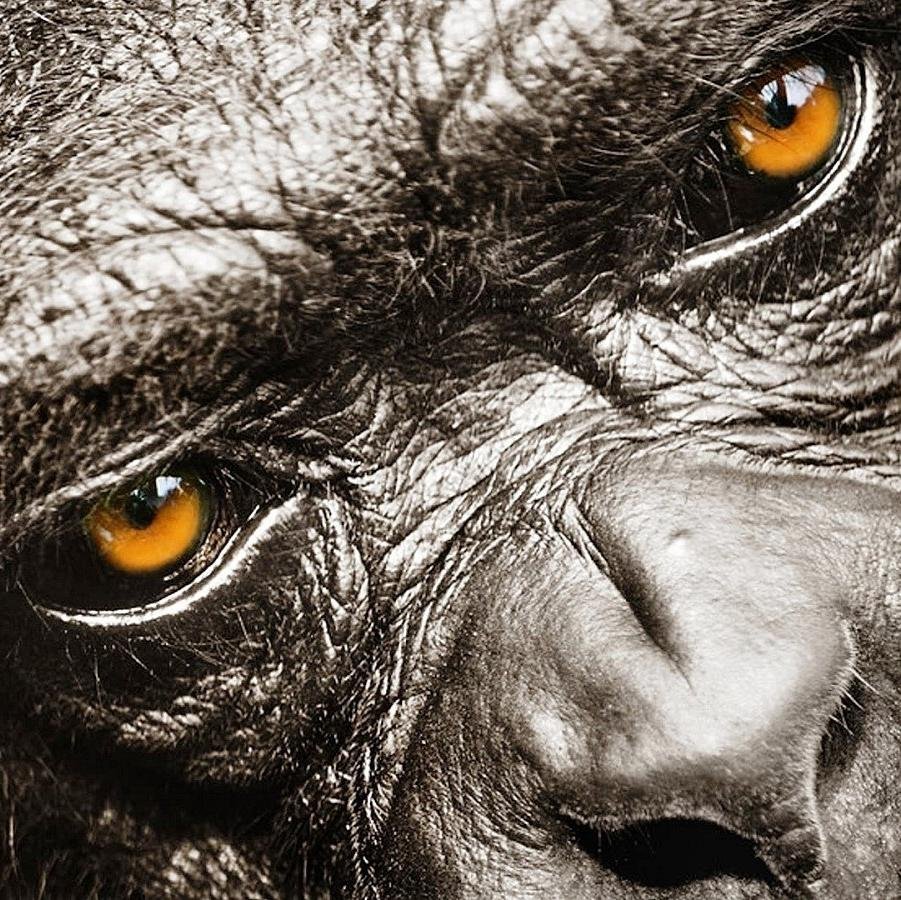 hihihi61539419's profile picture. 