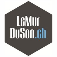 LeMurDuSon.ch (@lemurduson_ch) 's Twitter Profile