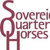 StephHurst1's profile picture. Sovereign Quarter Horses