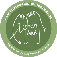 Knysna Elephant Park (@knysnatrunkcall) 's Twitter Profile