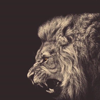 #ISTRIVE #IGRIND #INEVERQUIT #1MORE1MORE #360°177% #DreamChaser #Brotherisacancersurvivor #Hebrews13:5
