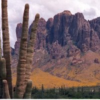 don procter (@dpro1) 's Twitter Profile