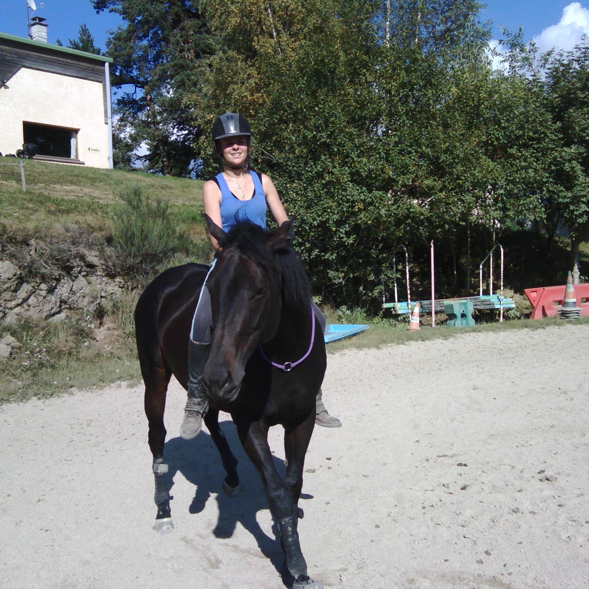 Culture, communication, patrimoine, événement, équitation