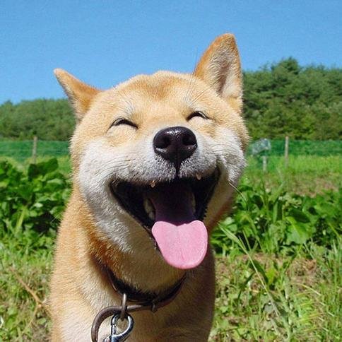 あなたがつらい時や落ち込んだ時、このつぶやきで笑わせたいと思います。