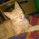 lourdes aranda - @vctr_16 - Twitter