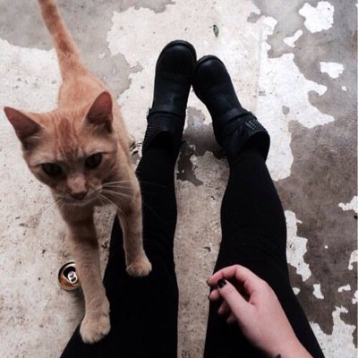 NnnFoodeat's profile picture. 